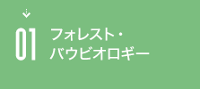 01 フォレスト・バウビオロギー